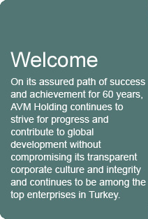 AVM Holding