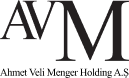 AVM Holding